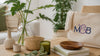 Best Sustainable Home Decor Brands 2026