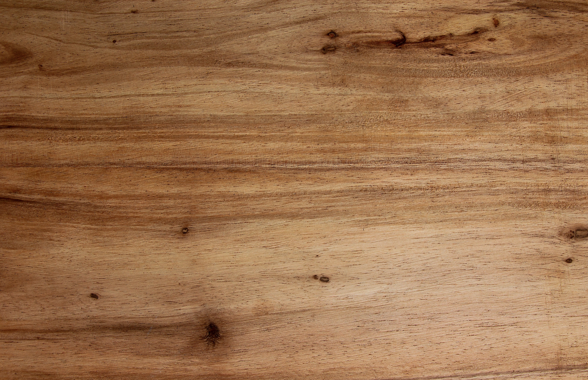 11x17 CHARCUTERIE MAP insert set of 10